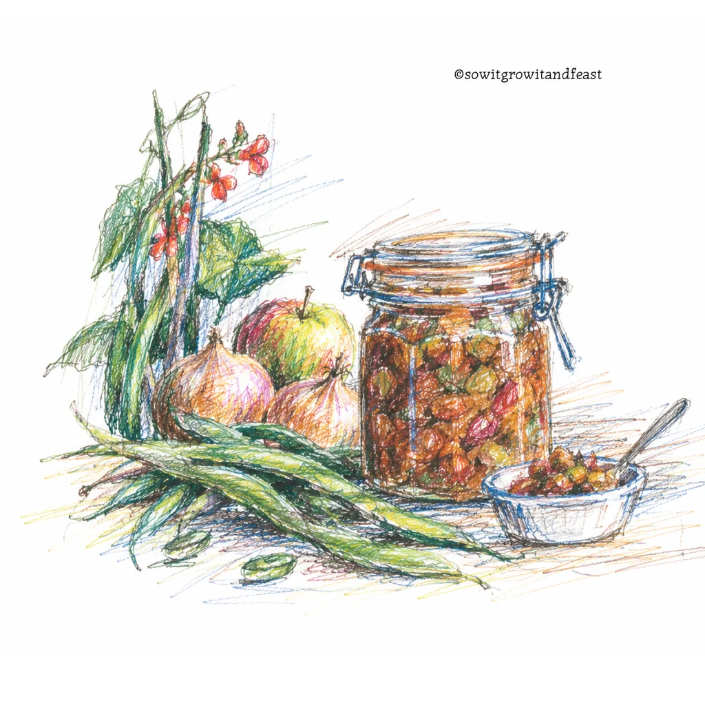 Colour Sketch of Runner Bean Chutney.
ยฉsowitgrowitandfeast